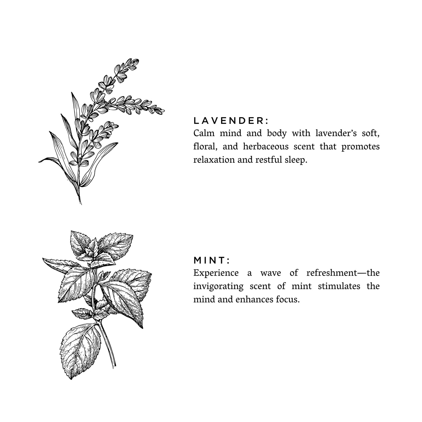 Lavender + Mint - Diffuser