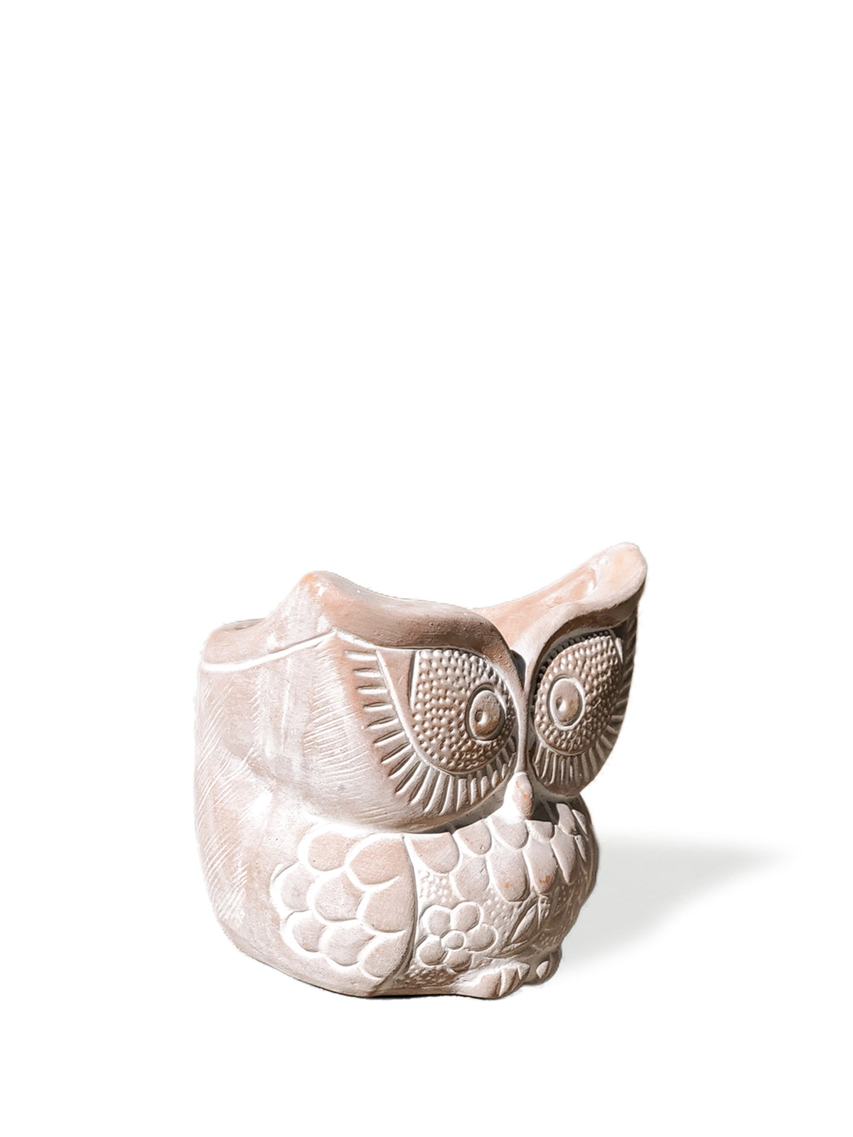 Owl Terracotta Pot