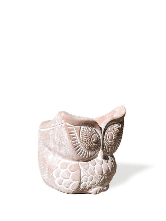 Owl Terracotta Pot