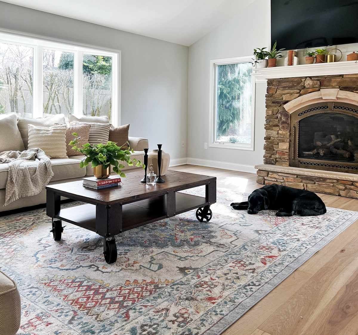 Haymond Area Rug