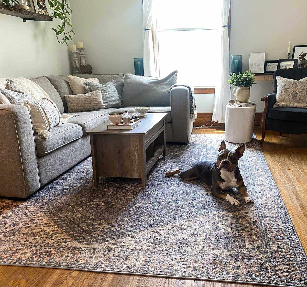 Seok Area Rug