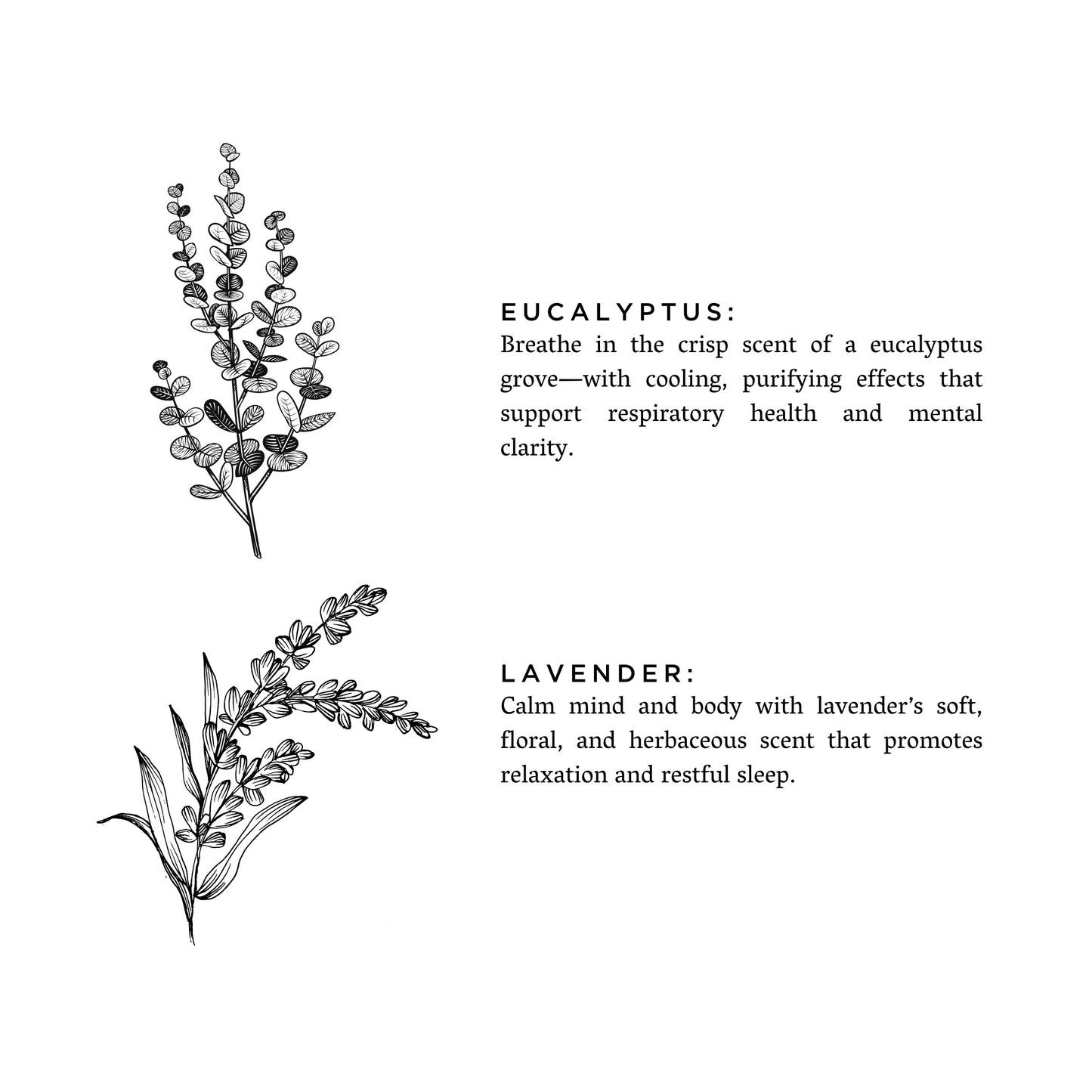 Eucalyptus + Lavender - 3-Wick Candle
