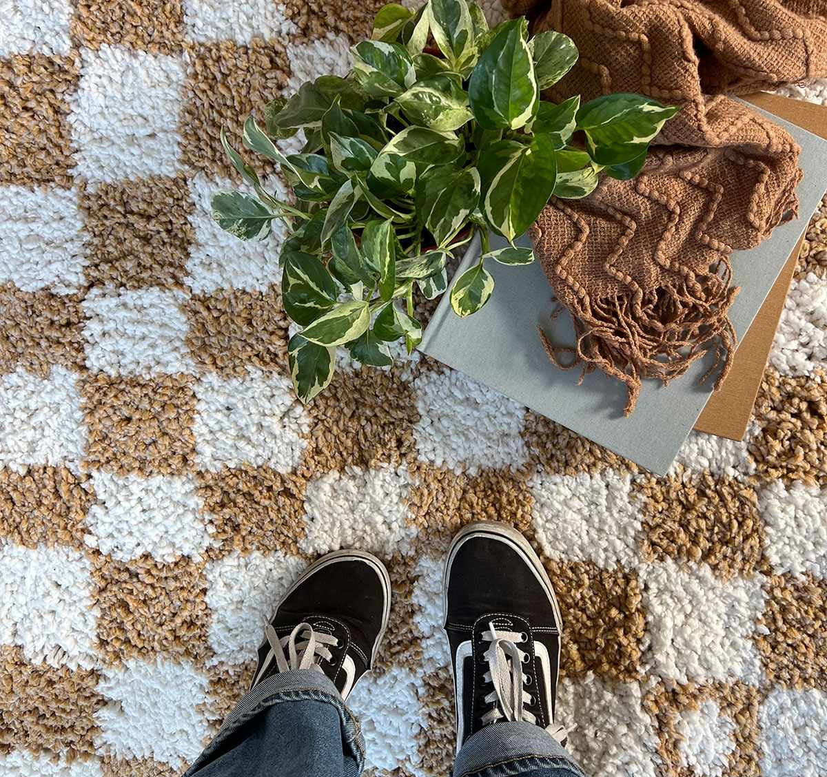 Kieu Checkered Area Rug