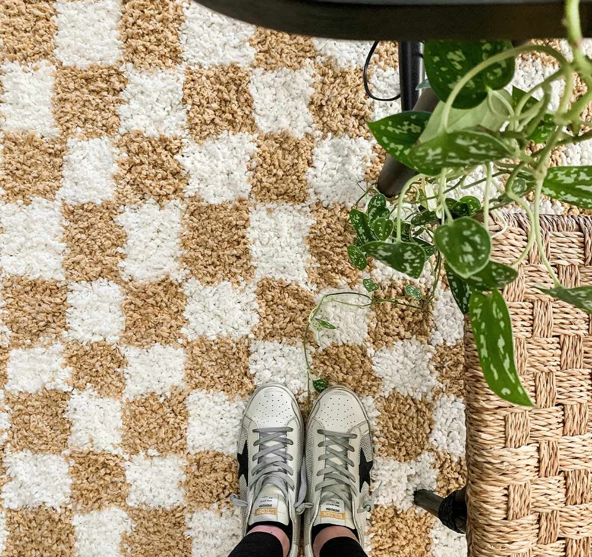Kieu Checkered Area Rug