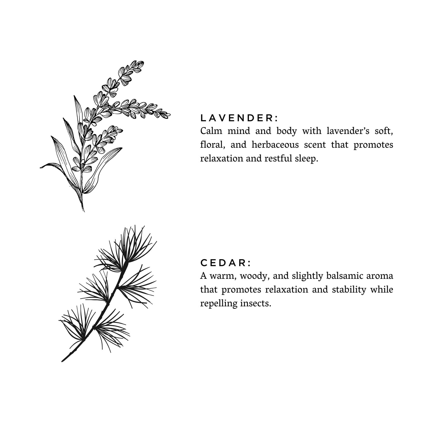 Lavender + Cedar 3-Wick Candle