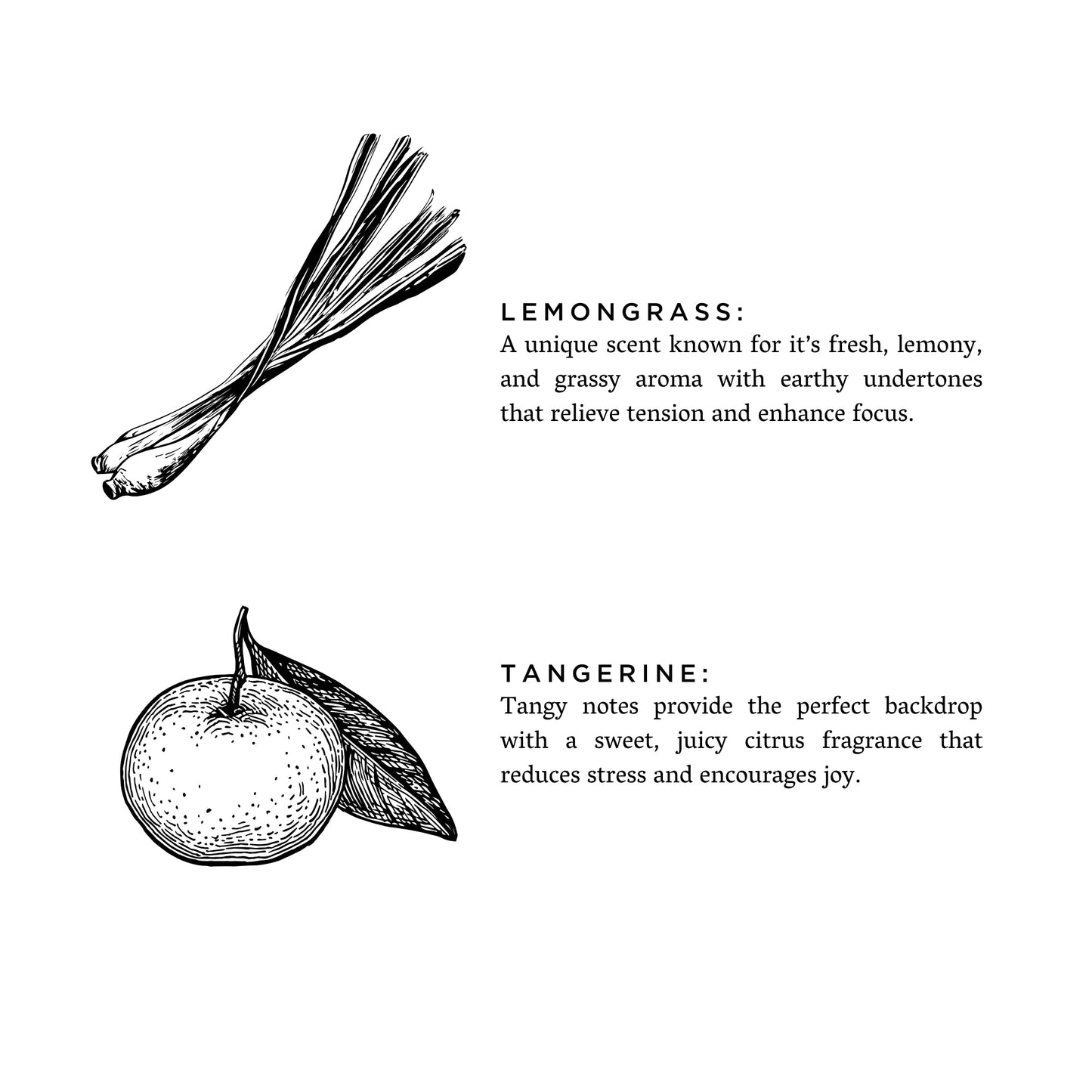 Lemongrass + Tangerine Diffuser