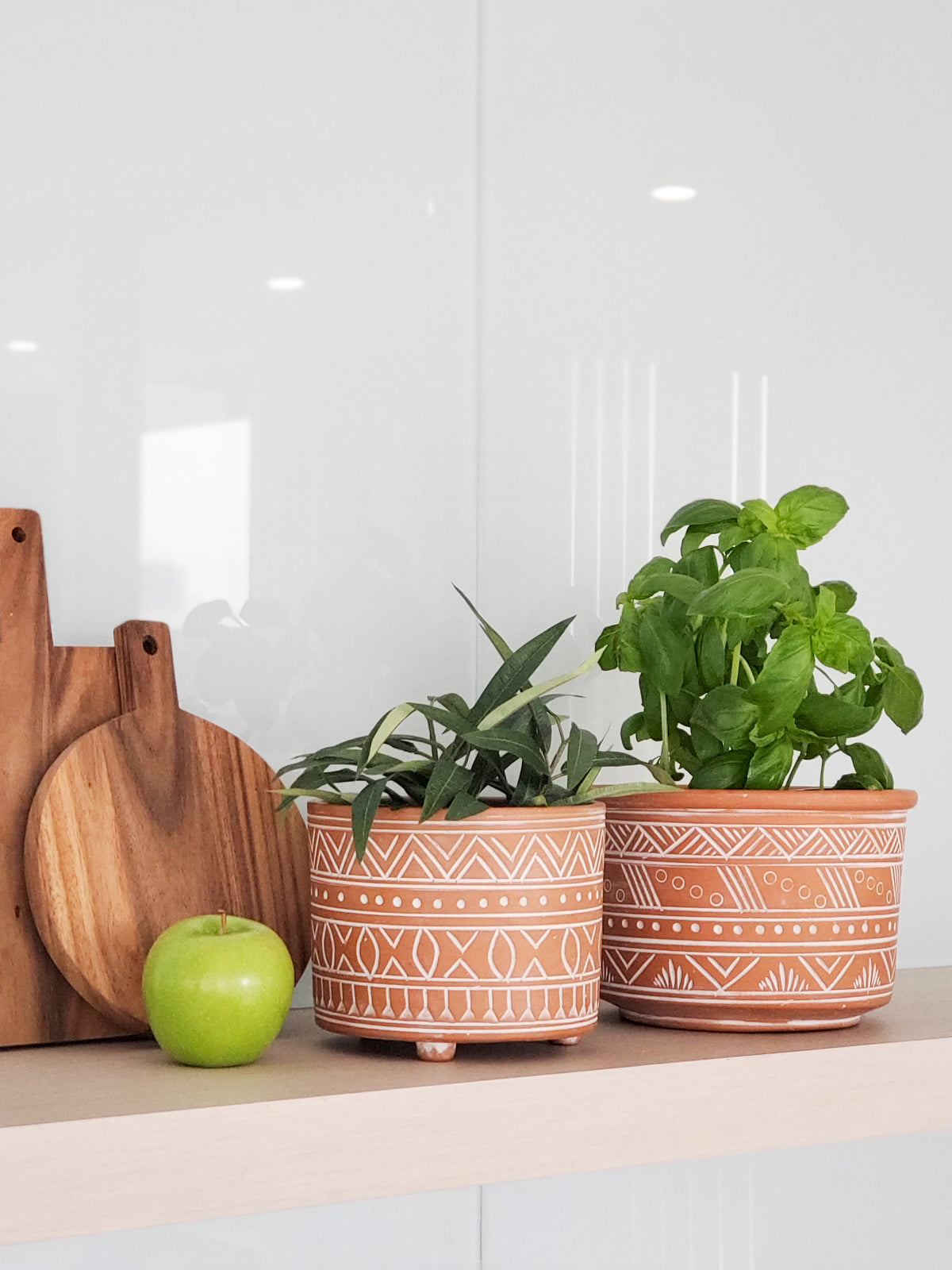 Large Terracotta Pot