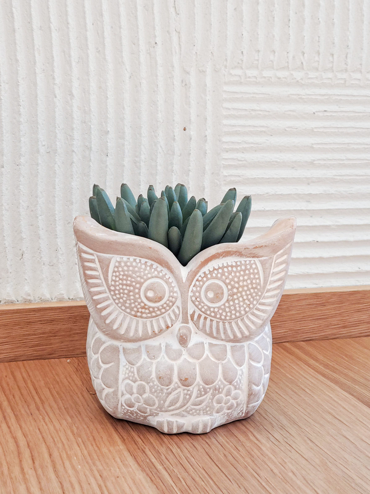 Owl Terracotta Pot
