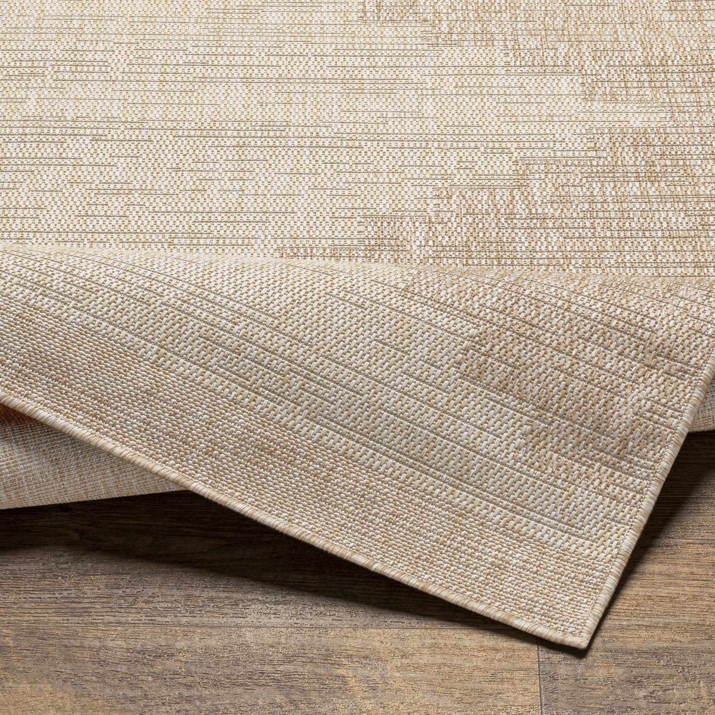 Indoor & Outdoor Rug