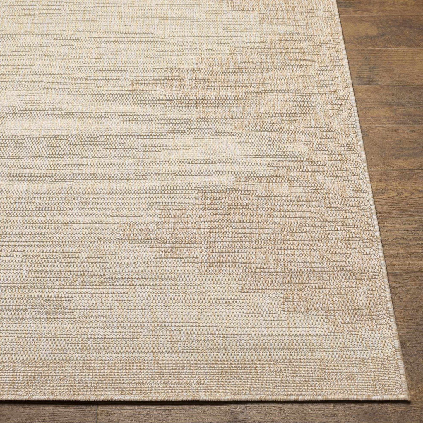 Indoor & Outdoor Rug