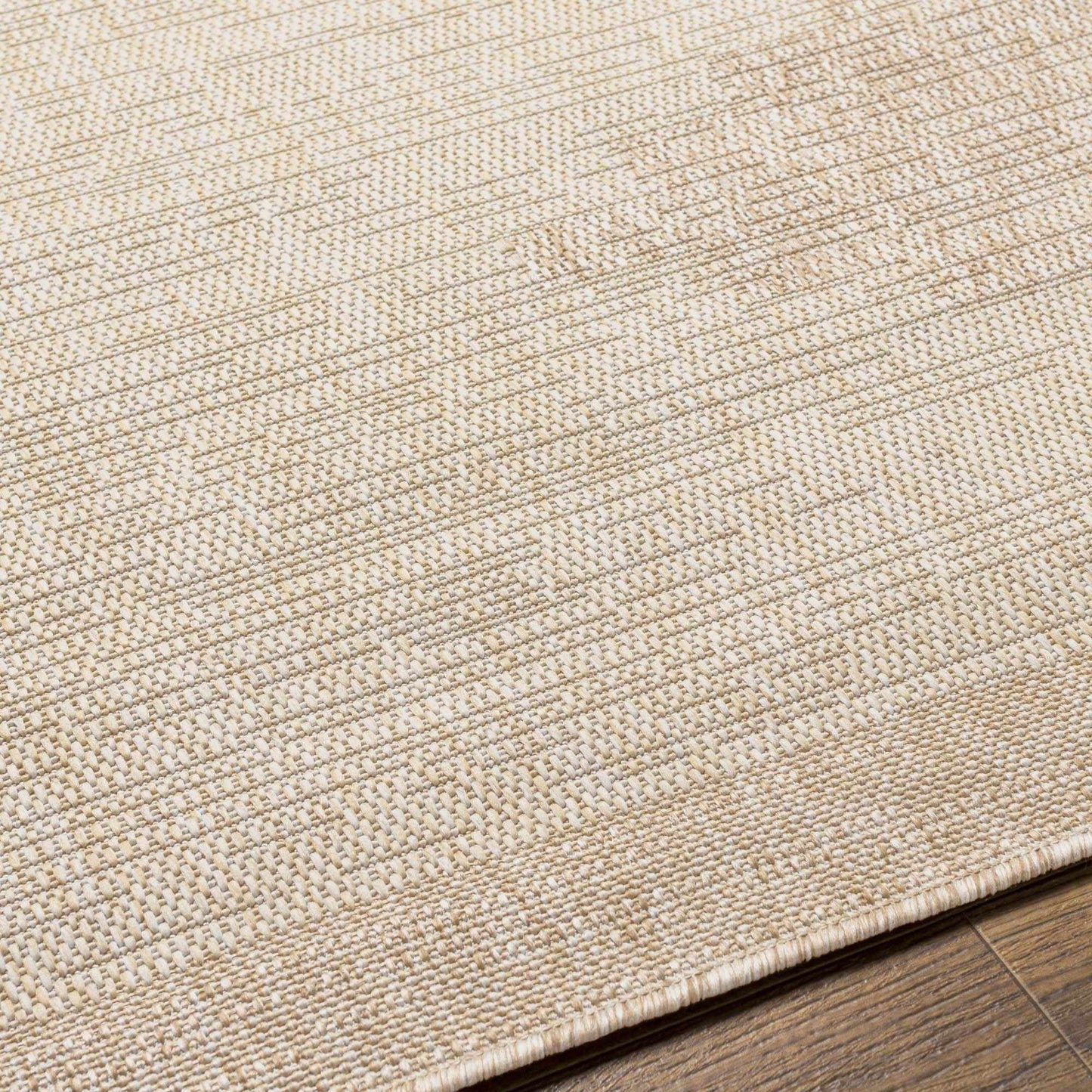 Indoor & Outdoor Rug