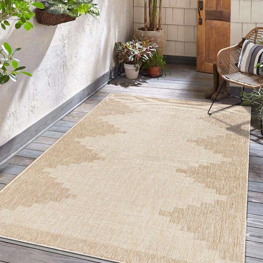 Indoor & Outdoor Rug